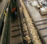 Cut blocks of wood on a conveyor belt